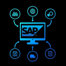 SAP Services, ABAP, Basis, Modules and Connectors